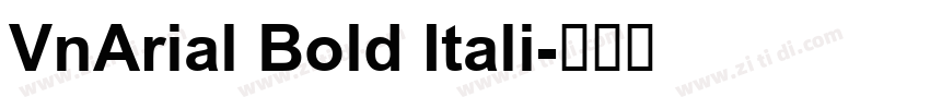VnArial Bold Itali字体转换